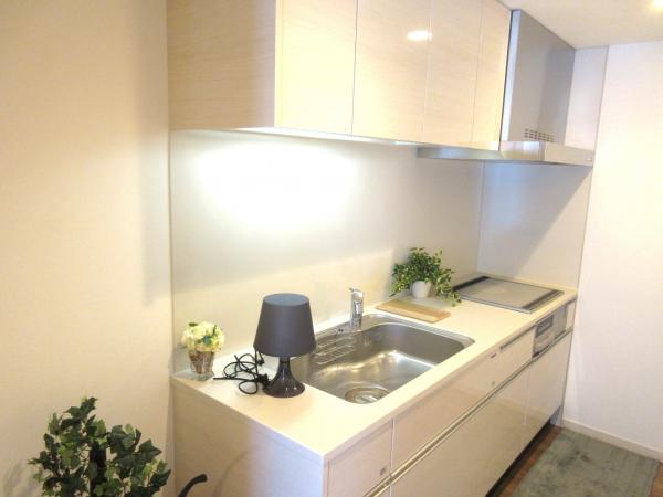 ザ・プレミア新潟萬代橋