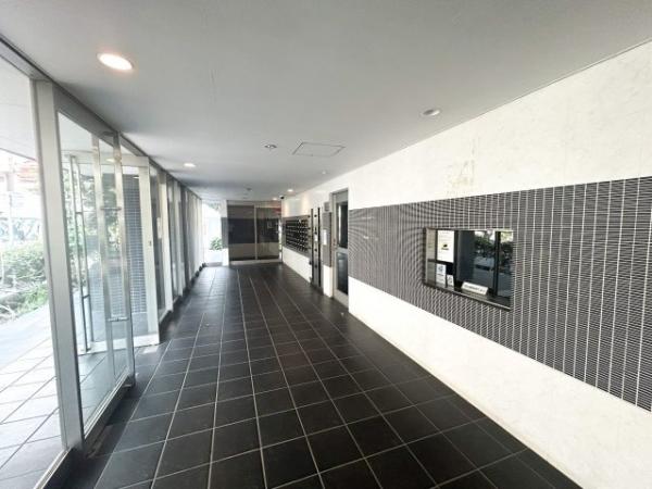 Refays−ms(リファイズエムエス)