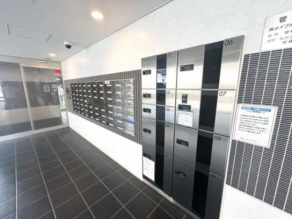 Refays−ms(リファイズエムエス)