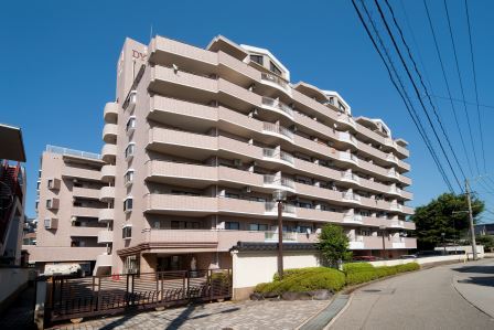 信開ダイナスティ浅野川キングス