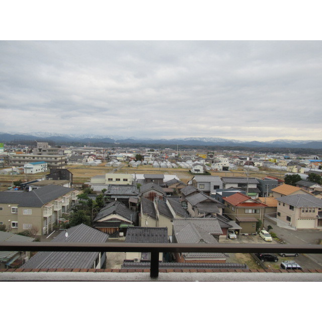 信開ドムス大領中 708号室