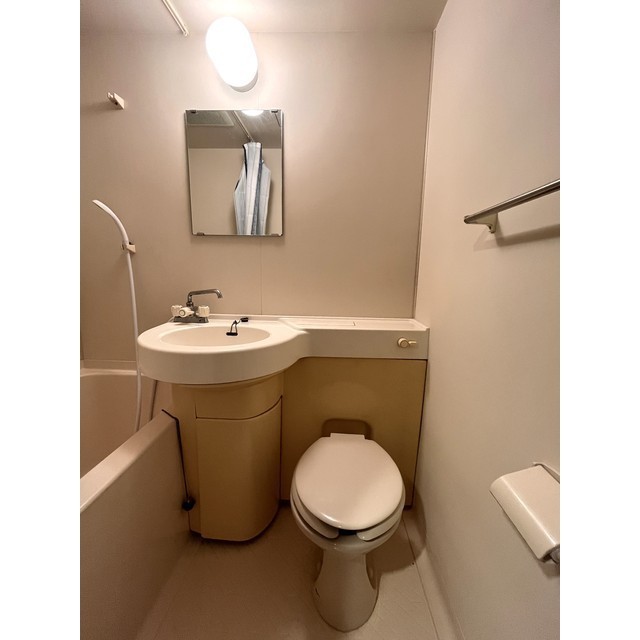 ダイアパレス安野屋 303号室