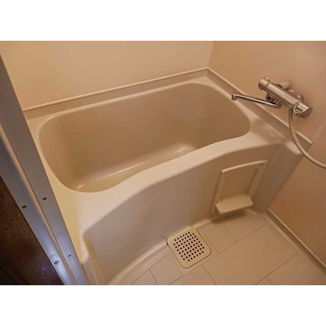 信開セルーラ緑町パート1 203号室