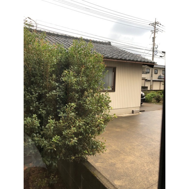 信開セルーラ南四ツ居 106号室