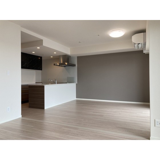 ザ・プレミア新潟駅万代 1703号室