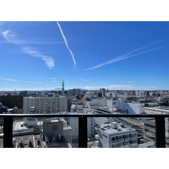 ザ・プレミア新潟駅万代 1703号室